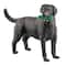 Safari Ltd® Black Labrador